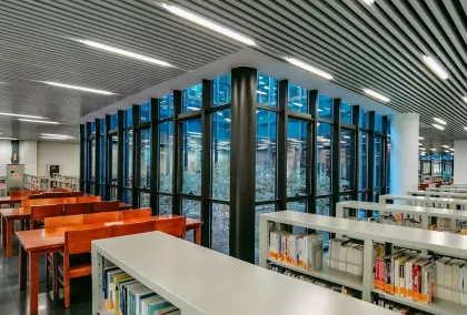 קזינו ליאון וינס אפליקציה לנייד